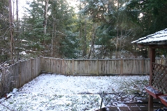 Snow in the back yard