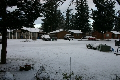 The view this morning from my front door