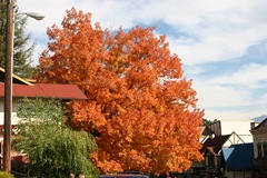 Now that's orange