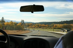 Lucas' view from the back seat