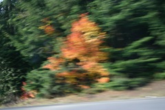 Rushing past on the freeway