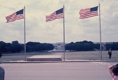 The flags flying in front of the Washington Monument