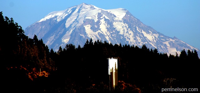 Mt. Rainier from WA 410
