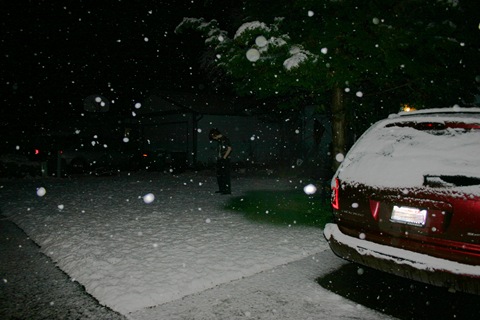 Spring Snow
