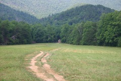 Tennessee Set Number 1 036
