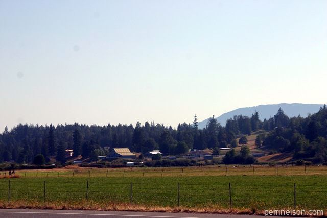 Washington Farmland