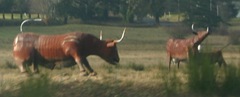 Fake Cattle
