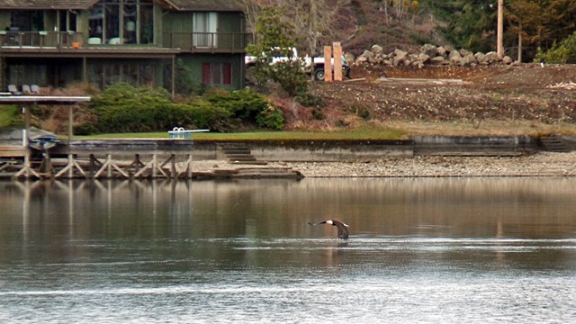 lake_tapps_001