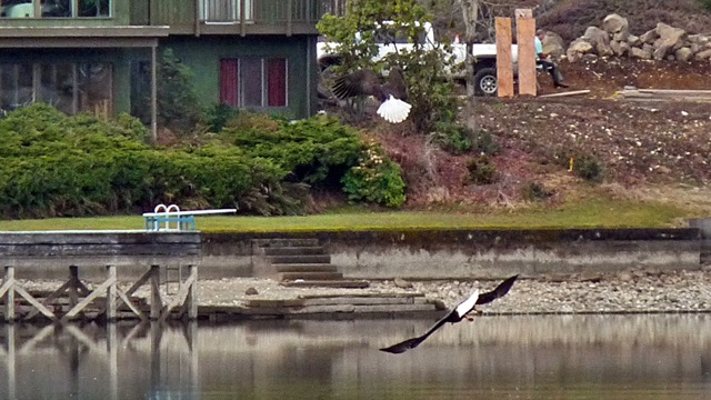 lake_tapps_004
