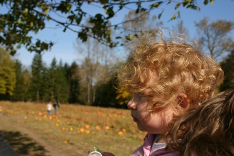 Sidney watching the cows