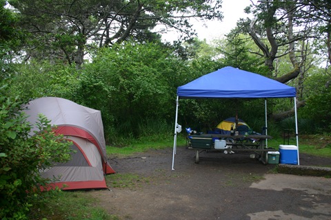 The site at Devil's Lake State Park