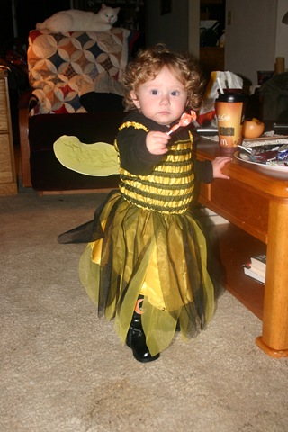 Beware the killer bee!