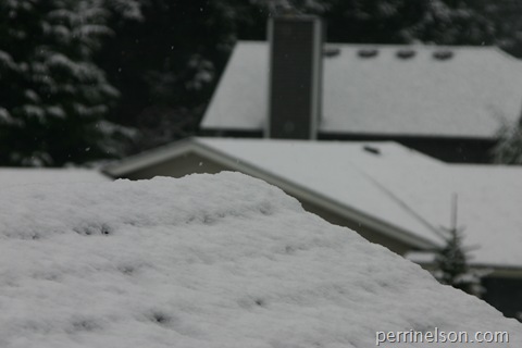 Snow on the rooftops