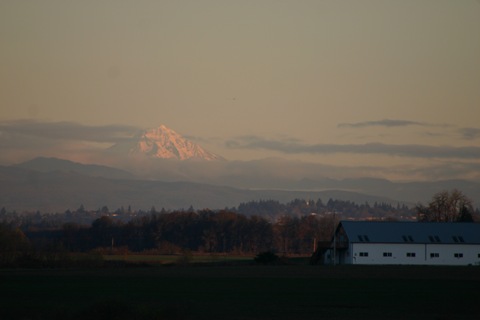 Mt. Hood from the Basket Slough