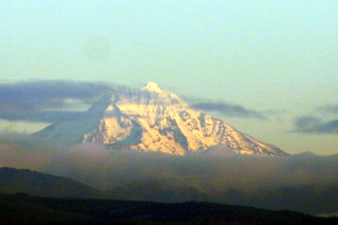 Mt. Hood