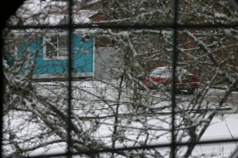 The view out the window (upstairs)