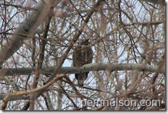 IMG_0163 IMG_0163