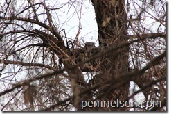 IMG_0168 IMG_0168